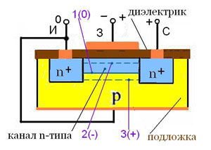polev1
