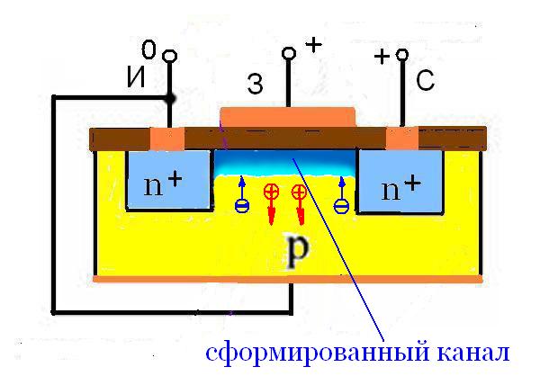 polev2